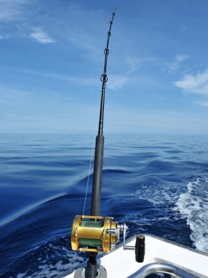 moulinet canne à pêche