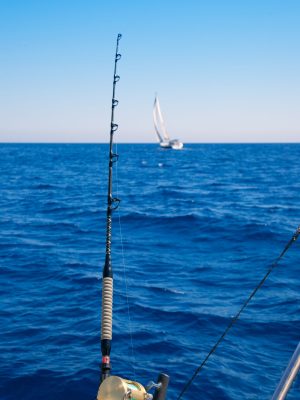 canne à pêche au gros